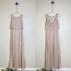Adrianna Papell Beaded Lace Popover Gown sz 6